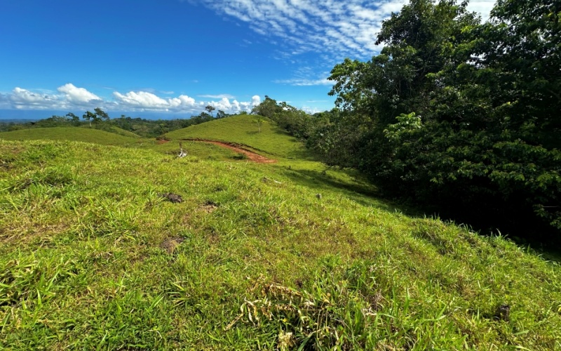 Breezes Paradise Lot With 5,924 m², this lot in Cuervito de Pavones combines tranquility and privacy with the charm of being surrounded by nature