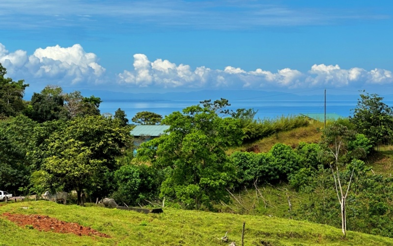 Breezes Paradise Lot With 5,924 m², this lot in Cuervito de Pavones combines tranquility and privacy with the charm of being surrounded by nature