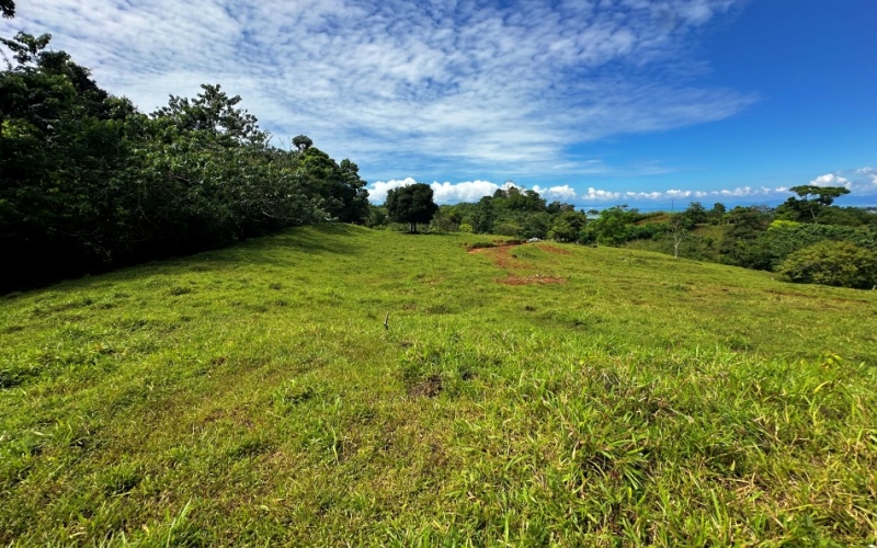 Breezes Paradise Lot With 5,924 m², this lot in Cuervito de Pavones combines tranquility and privacy with the charm of being surrounded by nature