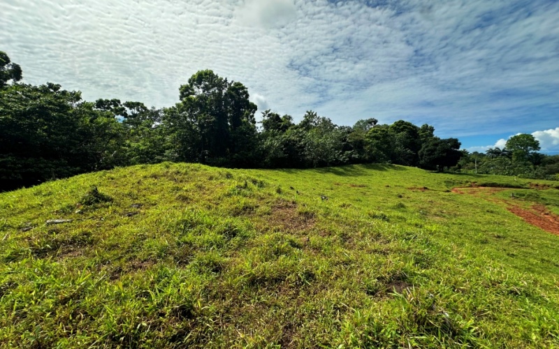 Breezes Paradise Lot With 5,924 m², this lot in Cuervito de Pavones combines tranquility and privacy with the charm of being surrounded by nature