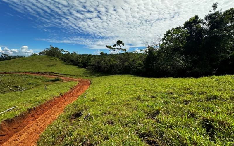 Breezes Paradise Lot With 5,924 m², this lot in Cuervito de Pavones combines tranquility and privacy with the charm of being surrounded by nature