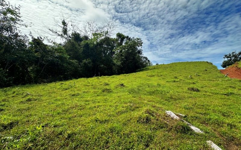 Breezes Paradise Lot With 5,924 m², this lot in Cuervito de Pavones combines tranquility and privacy with the charm of being surrounded by nature