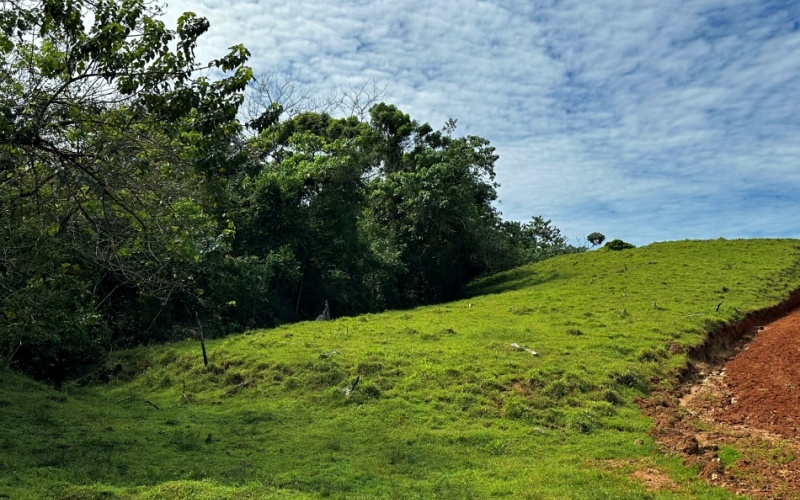 Breezes Paradise Lot With 5,924 m², this lot in Cuervito de Pavones combines tranquility and privacy with the charm of being surrounded by nature