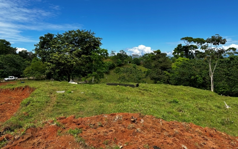 Monte Claro Lot, This 7,921 m² lot is strategically located in Cuervito de Pavones, with direct access from a public road and surrounded by friendly neighbors in a safe community.