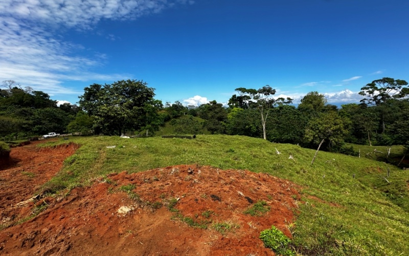 Monte Claro Lot, This 7,921 m² lot is strategically located in Cuervito de Pavones, with direct access from a public road and surrounded by friendly neighbors in a safe community.