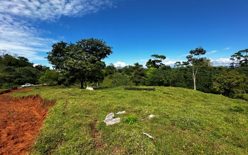 Monte Claro Lot, This 7,921 m² lot is strategically located in Cuervito de Pavones, with direct access from a public road and surrounded by friendly neighbors in a safe community.