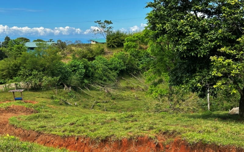 Monte Claro Lot, This 7,921 m² lot is strategically located in Cuervito de Pavones, with direct access from a public road and surrounded by friendly neighbors in a safe community.