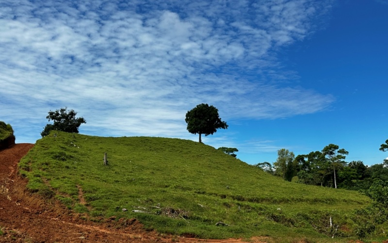 Pacific Sky Lot with an area of 12,386 m² Located just 12 minutes from Playa Pilón, this lot is close to some of the best surf spots in the area, such as Saleas Point and Left Overs, and only 23 minutes from the famous Pavones wave