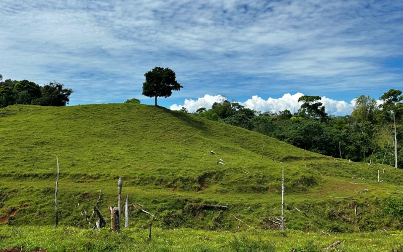 Pacific Sky Lot with an area of 12,386 m² Located just 12 minutes from Playa Pilón, this lot is close to some of the best surf spots in the area, such as Saleas Point and Left Overs, and only 23 minutes from the famous Pavones wave