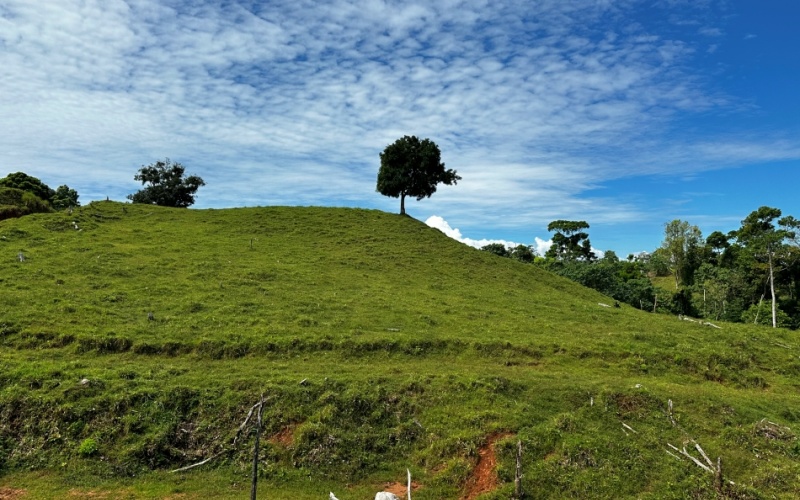 Pacific Sky Lot with an area of 12,386 m² Located just 12 minutes from Playa Pilón, this lot is close to some of the best surf spots in the area, such as Saleas Point and Left Overs, and only 23 minutes from the famous Pavones wave