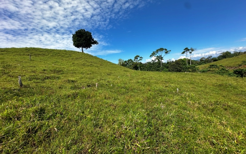 Pacific Sky Lot with an area of 12,386 m² Located just 12 minutes from Playa Pilón, this lot is close to some of the best surf spots in the area, such as Saleas Point and Left Overs, and only 23 minutes from the famous Pavones wave