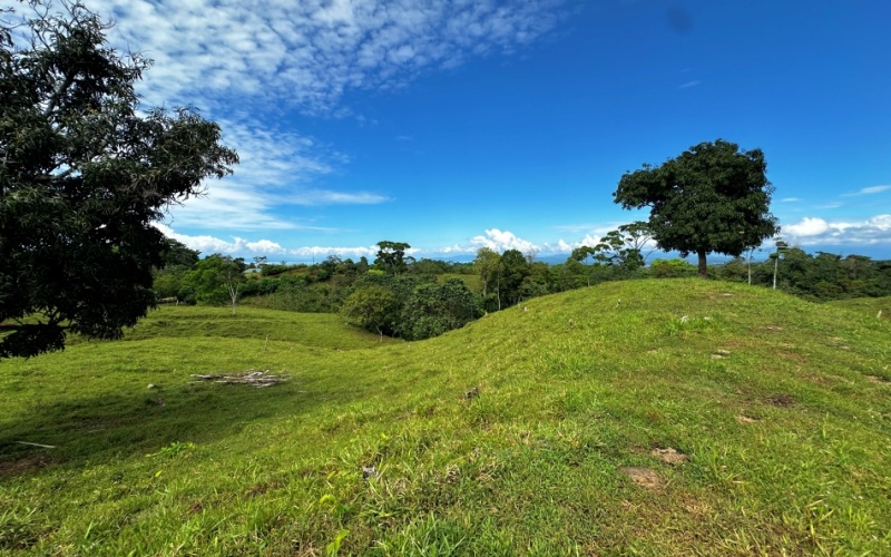 Pacific Sky Lot with an area of 12,386 m² Located just 12 minutes from Playa Pilón, this lot is close to some of the best surf spots in the area, such as Saleas Point and Left Overs, and only 23 minutes from the famous Pavones wave