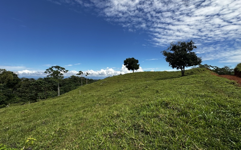 Pacific Sky Lot with an area of 12,386 m² Located just 12 minutes from Playa Pilón, this lot is close to some of the best surf spots in the area, such as Saleas Point and Left Overs, and only 23 minutes from the famous Pavones wave