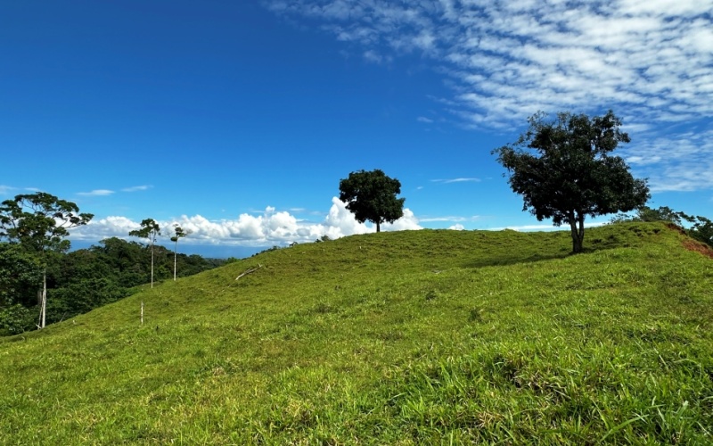 Pacific Sky Lot with an area of 12,386 m² Located just 12 minutes from Playa Pilón, this lot is close to some of the best surf spots in the area, such as Saleas Point and Left Overs, and only 23 minutes from the famous Pavones wave