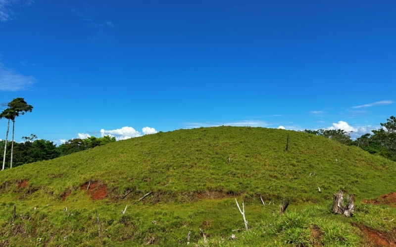 Ocean and Mountain Lookout, this 13,944 m² Lot, the largest of the five, offers breathtaking views and endless potential, located on a hill in Cuervito de Pavones