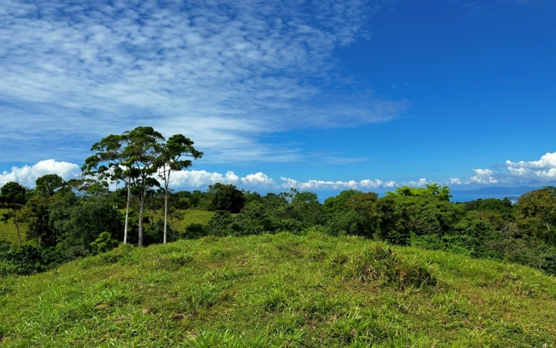 Ocean and Mountain Lookout, this 13,944 m² Lot, the largest of the five, offers breathtaking views and endless potential, located on a hill in Cuervito de Pavones