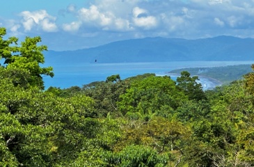 Ocean and Mountain Lookout, this 13,944 m² Lot, the largest of the five, offers breathtaking views and endless potential, located on a hill in Cuervito de Pavones