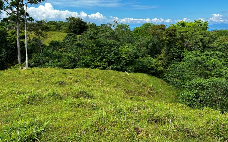 Ocean and Mountain Lookout, this 13,944 m² Lot, the largest of the five, offers breathtaking views and endless potential, located on a hill in Cuervito de Pavones