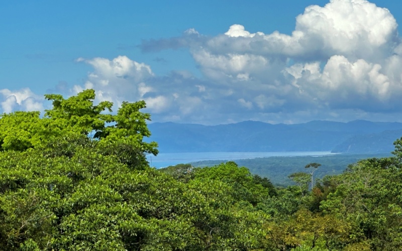 Ocean and Mountain Lookout, this 13,944 m² Lot, the largest of the five, offers breathtaking views and endless potential, located on a hill in Cuervito de Pavones