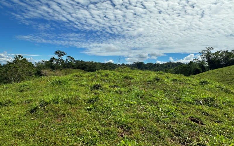 Ocean and Mountain Lookout, this 13,944 m² Lot, the largest of the five, offers breathtaking views and endless potential, located on a hill in Cuervito de Pavones