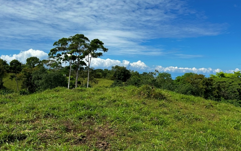 Ocean and Mountain Lookout, this 13,944 m² Lot, the largest of the five, offers breathtaking views and endless potential, located on a hill in Cuervito de Pavones