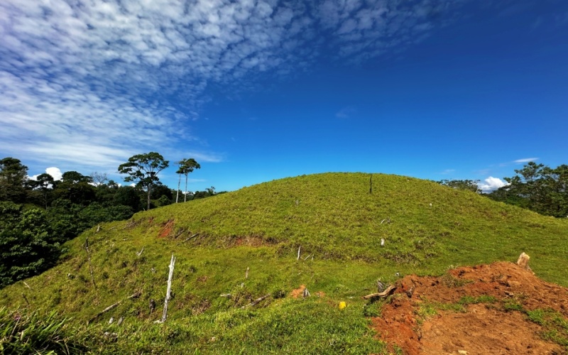 Ocean and Mountain Lookout, this 13,944 m² Lot, the largest of the five, offers breathtaking views and endless potential, located on a hill in Cuervito de Pavones