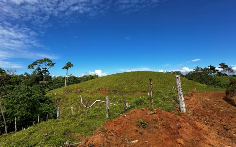 Ocean and Mountain Lookout, this 13,944 m² Lot, the largest of the five, offers breathtaking views and endless potential, located on a hill in Cuervito de Pavones