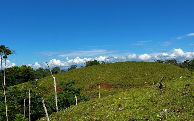 Ocean and Mountain Lookout, this 13,944 m² Lot, the largest of the five, offers breathtaking views and endless potential, located on a hill in Cuervito de Pavones