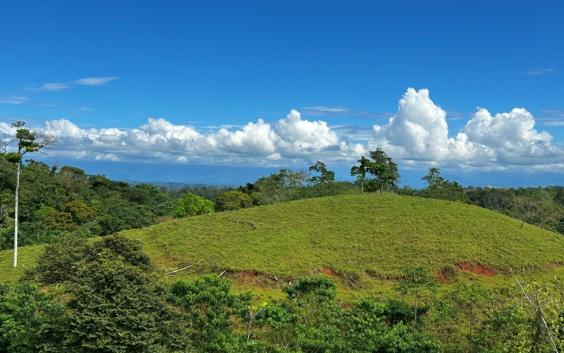 Ocean and Mountain Lookout, this 13,944 m² Lot, the largest of the five, offers breathtaking views and endless potential, located on a hill in Cuervito de Pavones