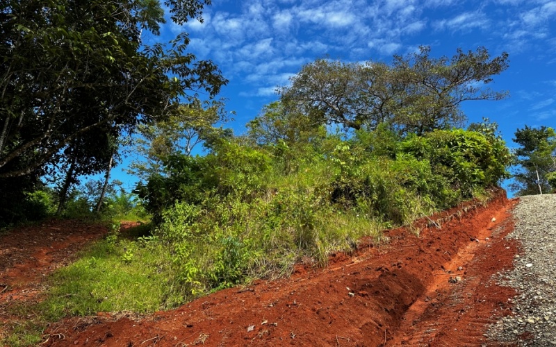 Finca Lomas del Paraiso, with a size of 24,095 m² in Cuervito de Pavones offers; privacy, natural beauty, and unparalleled views, located in Cuervito