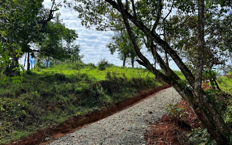 Finca Lomas del Paraiso, with a size of 24,095 m² in Cuervito de Pavones offers; privacy, natural beauty, and unparalleled views, located in Cuervito