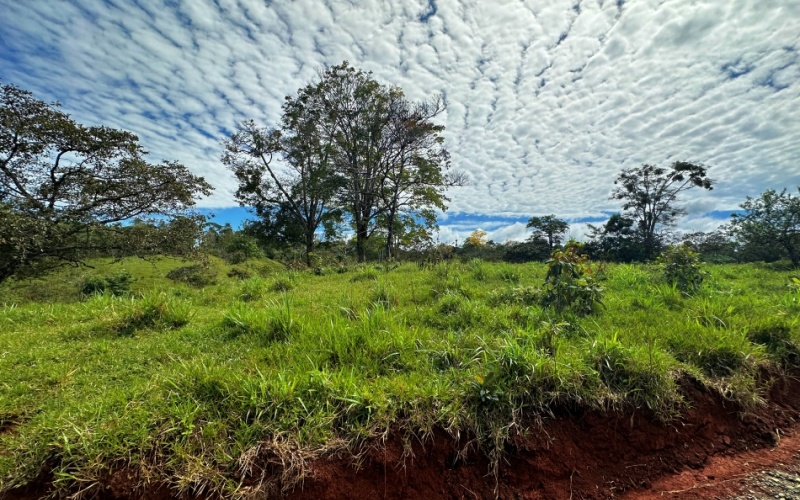 Finca Lomas del Paraiso, with a size of 24,095 m² in Cuervito de Pavones offers; privacy, natural beauty, and unparalleled views, located in Cuervito