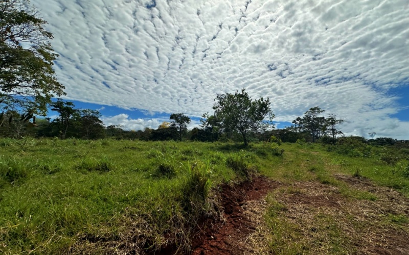 Finca Lomas del Paraiso, with a size of 24,095 m² in Cuervito de Pavones offers; privacy, natural beauty, and unparalleled views, located in Cuervito