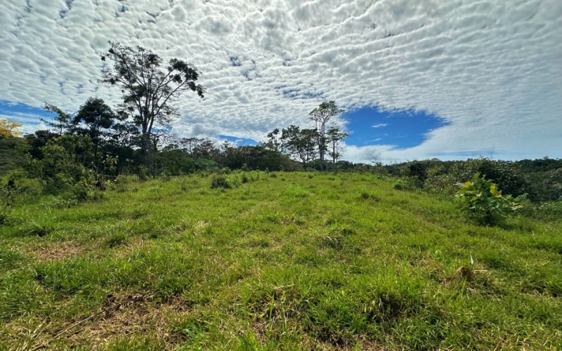 Finca Lomas del Paraiso, with a size of 24,095 m² in Cuervito de Pavones offers; privacy, natural beauty, and unparalleled views, located in Cuervito