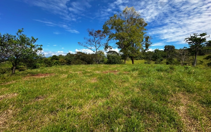 Finca Lomas del Paraiso, with a size of 24,095 m² in Cuervito de Pavones offers; privacy, natural beauty, and unparalleled views, located in Cuervito