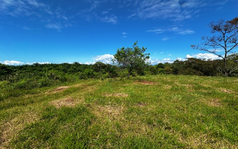 Finca Lomas del Paraiso, with a size of 24,095 m² in Cuervito de Pavones offers; privacy, natural beauty, and unparalleled views, located in Cuervito