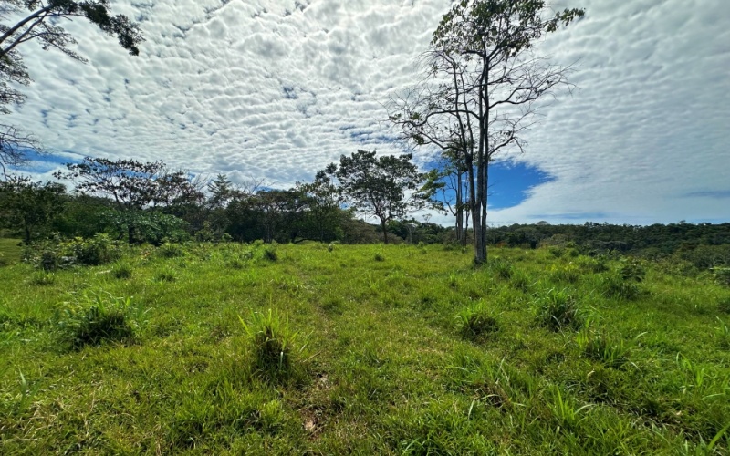 Finca Lomas del Paraiso, with a size of 24,095 m² in Cuervito de Pavones offers; privacy, natural beauty, and unparalleled views, located in Cuervito