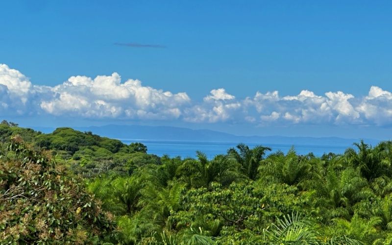 Finca Lomas del Paraiso, with a size of 24,095 m² in Cuervito de Pavones offers; privacy, natural beauty, and unparalleled views, located in Cuervito