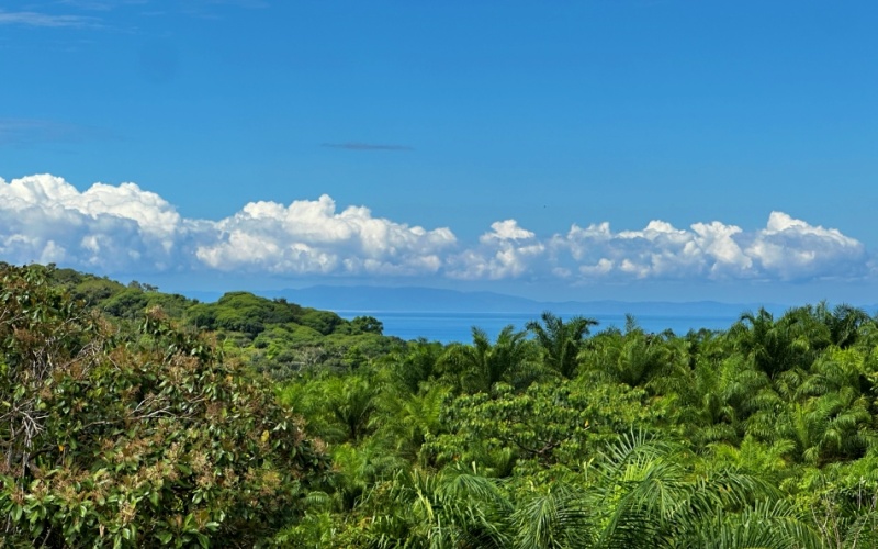 Finca Lomas del Paraiso, with a size of 24,095 m² in Cuervito de Pavones offers; privacy, natural beauty, and unparalleled views, located in Cuervito