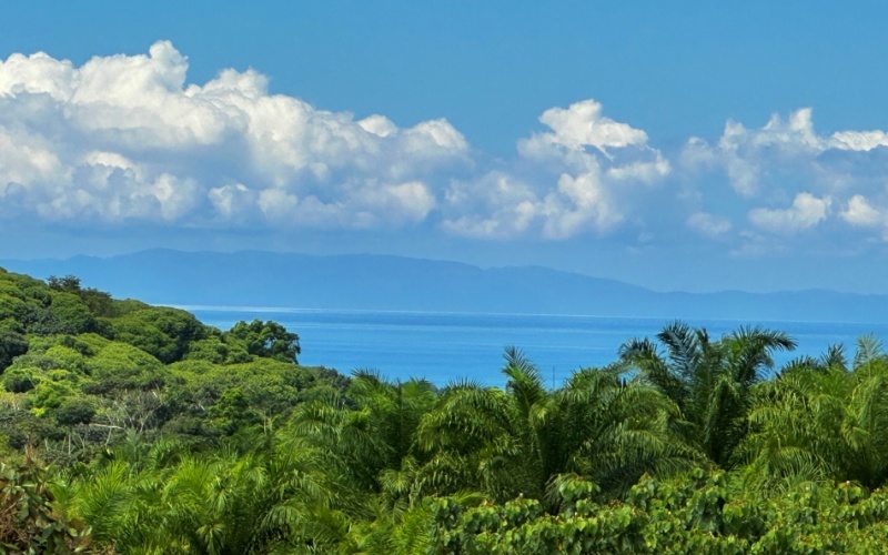 Finca Lomas del Paraiso, with a size of 24,095 m² in Cuervito de Pavones offers; privacy, natural beauty, and unparalleled views, located in Cuervito