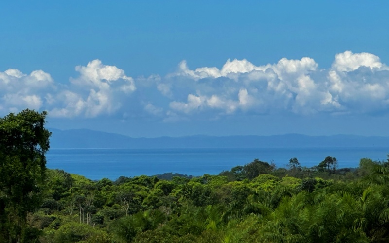 Finca Lomas del Paraiso, with a size of 24,095 m² in Cuervito de Pavones offers; privacy, natural beauty, and unparalleled views, located in Cuervito