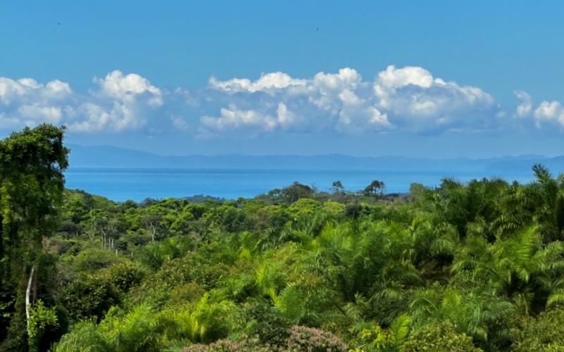 Finca Lomas del Paraiso, with a size of 24,095 m² in Cuervito de Pavones offers; privacy, natural beauty, and unparalleled views, located in Cuervito