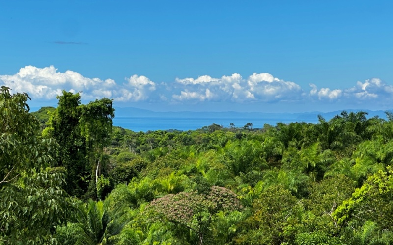 Finca Lomas del Paraiso, with a size of 24,095 m² in Cuervito de Pavones offers; privacy, natural beauty, and unparalleled views, located in Cuervito