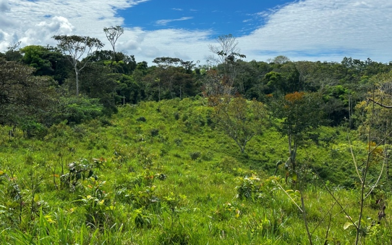 Finca Lomas del Paraiso, with a size of 24,095 m² in Cuervito de Pavones offers; privacy, natural beauty, and unparalleled views, located in Cuervito