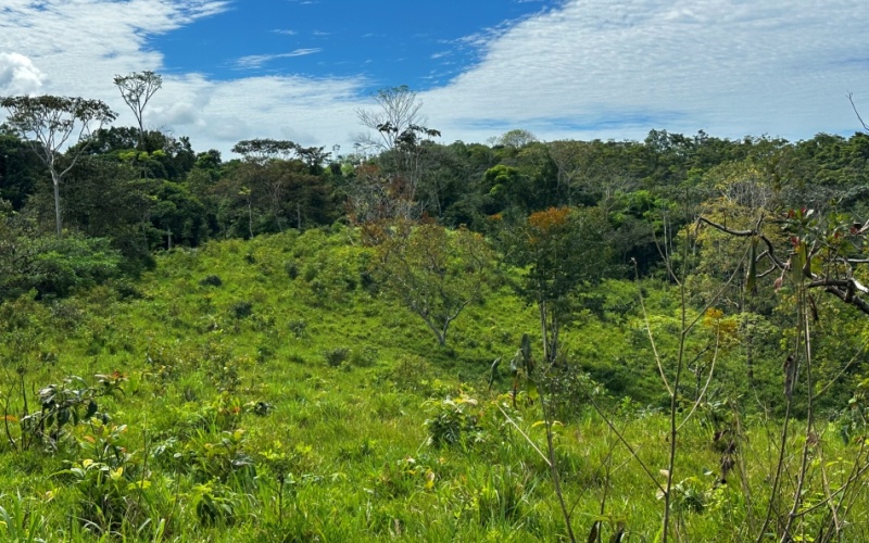 Finca Lomas del Paraiso, with a size of 24,095 m² in Cuervito de Pavones offers; privacy, natural beauty, and unparalleled views, located in Cuervito