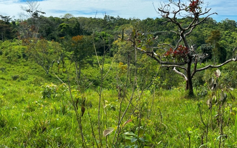 Finca Lomas del Paraiso, with a size of 24,095 m² in Cuervito de Pavones offers; privacy, natural beauty, and unparalleled views, located in Cuervito