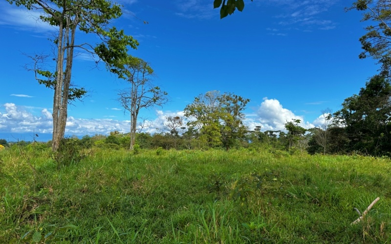 Finca Lomas del Paraiso, with a size of 24,095 m² in Cuervito de Pavones offers; privacy, natural beauty, and unparalleled views, located in Cuervito