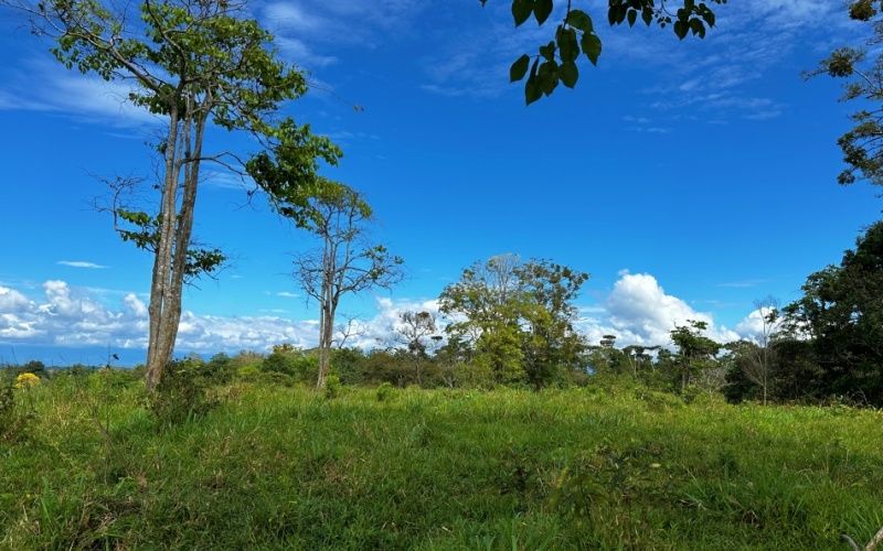 Finca Lomas del Paraiso, with a size of 24,095 m² in Cuervito de Pavones offers; privacy, natural beauty, and unparalleled views, located in Cuervito