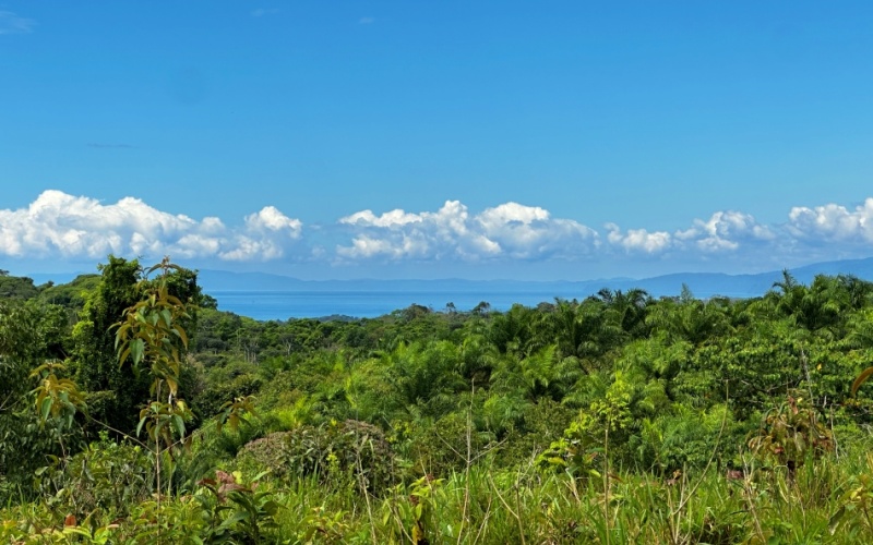 Finca Lomas del Paraiso, with a size of 24,095 m² in Cuervito de Pavones offers; privacy, natural beauty, and unparalleled views, located in Cuervito