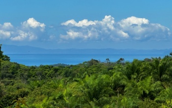 Finca Lomas del Paraiso, with a size of 24,095 m² in Cuervito de Pavones offers; privacy, natural beauty, and unparalleled views, located in Cuervito